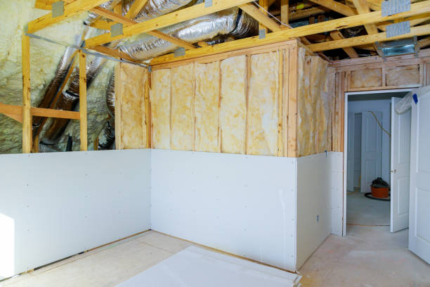Best Geographic-Specific Insulation Services in Hayden, AL