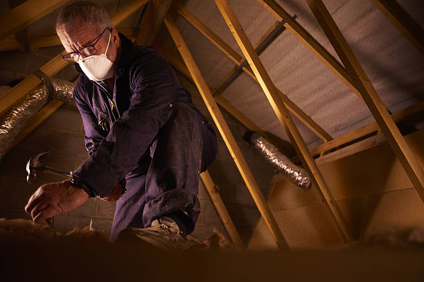 Best Spray Foam Insulation in Hayden, AL